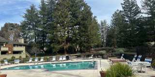 One Bedroom in a Great Community, Excellent Location, with a Pool! Gallery 1