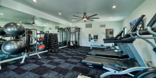 Hayden Park Gallery 27