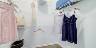 Thornhill Apartments Gallery 8