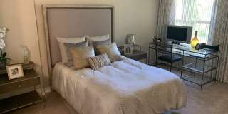 Harbour Village Gallery 11