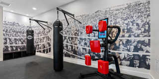 Bainbridge The Grand Gallery 17