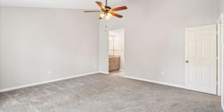 18512 FIDDLELEAF Terrace Gallery 21