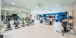 Element Carolina Bay Element Carolina Bay Gallery 3