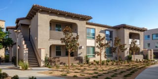 Homecoming at The Resort Apartments Gallery 24