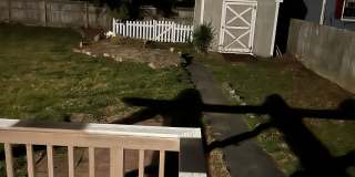 2020 Knotty Drive Gallery 47