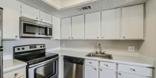 Rise Spring Pointe Gallery 112