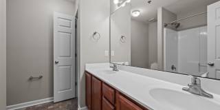 Welcome to Acorn Forest! Gallery 14