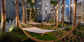 Livano Wildwood Gallery 17