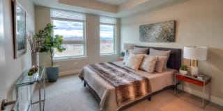 Theo Apartments Gallery 17