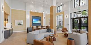 Shalimar at Plantation Gallery 2