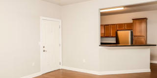 Molly Barr Gallery 3