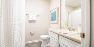 Colony Pointe Gallery 12