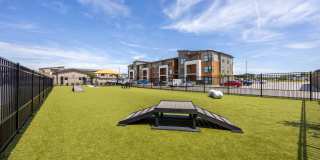 The Avante Gallery 63