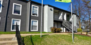 The Element Gallery 51