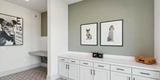 Ascend at Celina Hills Gallery 12