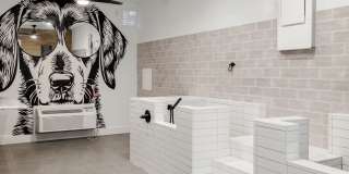 The Lola The Lola Gallery 17