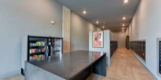 Matador Gallery 41