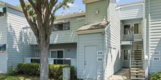 1201 Glen Cove Pkwy Apt 202 Gallery 1