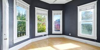 123 Fir Street Gallery 16