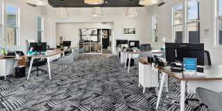 ReNew Woodland North and South Gallery 29