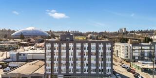 Koz at the Dome Gallery 5