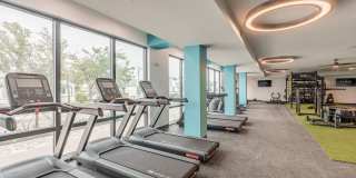 Cove at 47th Gallery 19