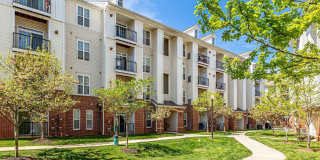 21216 MCFADDEN Square Gallery 8