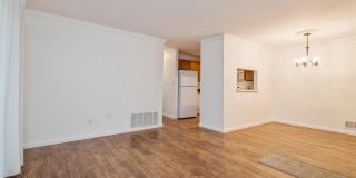 101 QUINCE Court Gallery 4