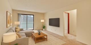 Park Plaza Gallery 1