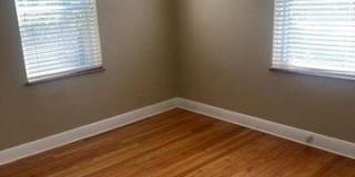 253 Turf Gallery 6