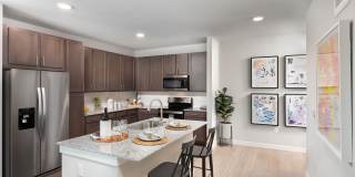 August Friendswood Gallery 33