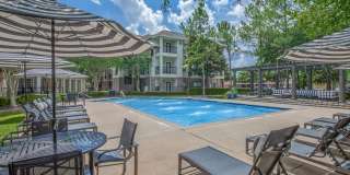 Westchase Forest Gallery 2