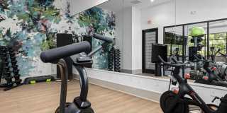 Everly on 401 Gallery 30
