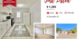 972 San Christopher Drive - 972 972 San Christopher Drive - 972 Gallery 1