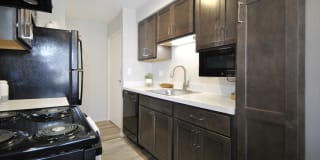 The Maxwell Gallery 14