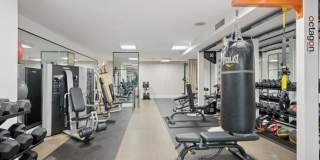 Premiere on Pine Gallery 19