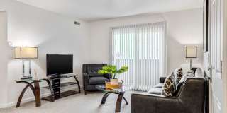 Shoal Creek Gallery 7