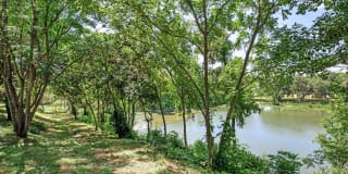 The Falls Round Rock Gallery 23