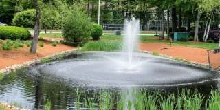 8 Northbrook Dr Gallery 18
