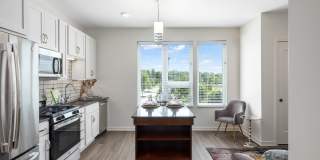 Avidor Omaha Gallery 5