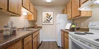 Silver Springs Gallery 1