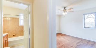 New Horizon Gallery 8
