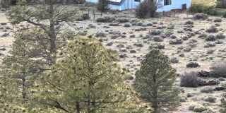 wonderful 3 bedroom home in serene setting Gallery 1