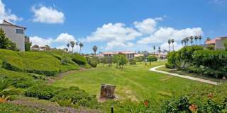 712 Calle Divino Gallery 48