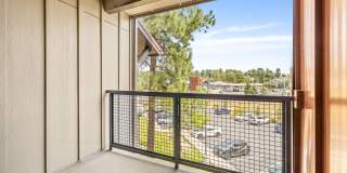 Mountain Trail Gallery 37