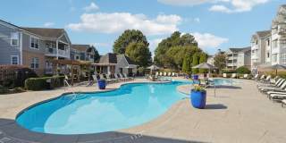 Tree Park Apartments Gallery 35