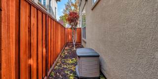 Stunning Updated 3 Bedroom Home in Desirable Tassajara Meadows Across from Emerald Glen Park Stunning Updated 3 Bedroom Home in Desirable Tassajara Meadows Across from Emerald Glen Park Gallery 43