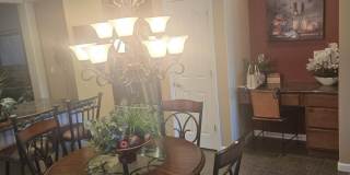 1184 W DESERT HOLLOW Drive Gallery 6
