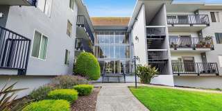 960 Shorepoint Ct #205 - 1 Bedroom | 1 Bath | Condo Gallery 1