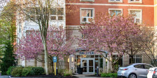 Halstead Burlington Gallery 29